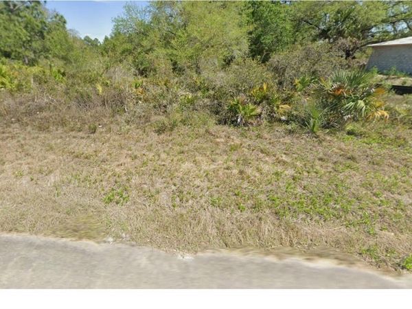 225 NARCISSUS AVENUE S, LEHIGH ACRES, FL 33974