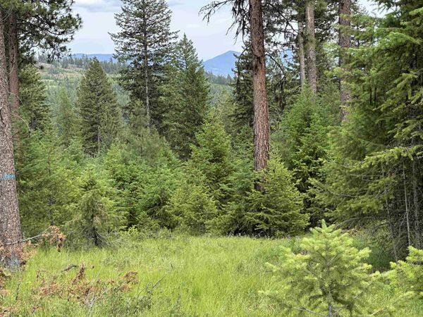 36XX Lot C Sheridan Rd, Republic, WA 99166