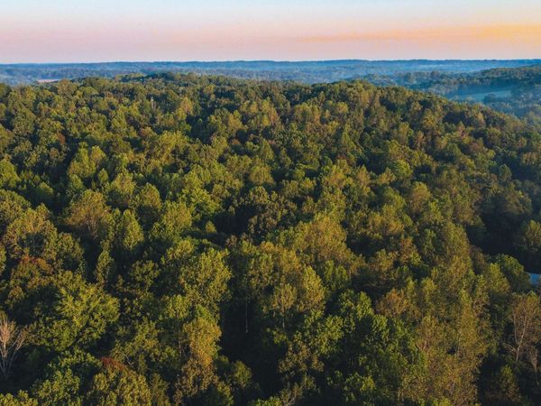 0 Rock Springs Rd , Cumberland Furnace, TN 37051