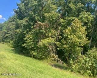 0 217 County Road Middleburg, FL 