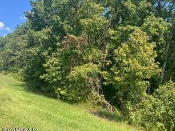 0 217 County Road, Middleburg, FL 32234