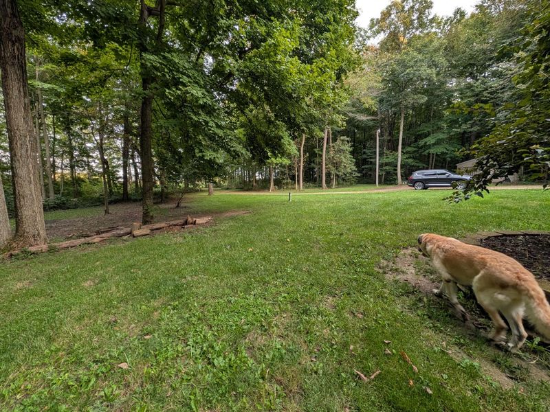 12325 Wones Road, Maplewood, OH 45340 Photo 42