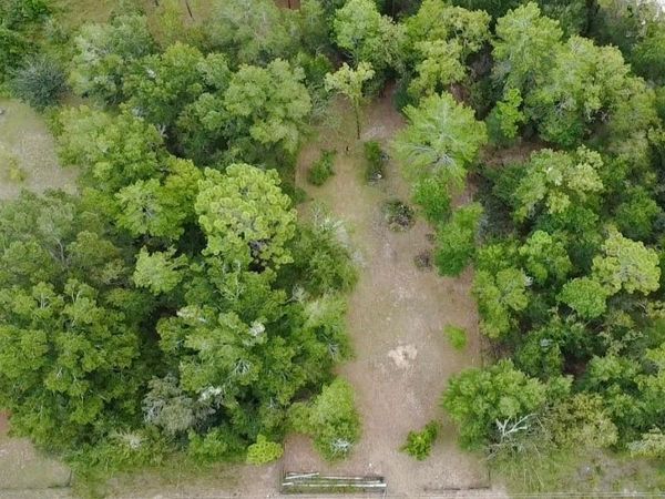 4717 NE 141ST AVENUE , WILLISTON, FL 32696