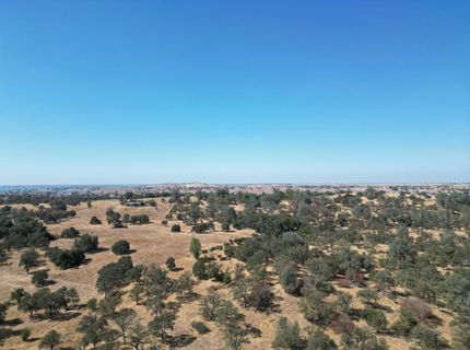 4621 Curran, Ione, CA 95640 Photo