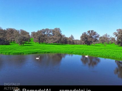 4621 Curran, Ione, CA 95640 Photo