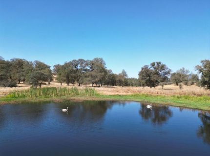 4621 Curran, Ione, CA 95640 Photo
