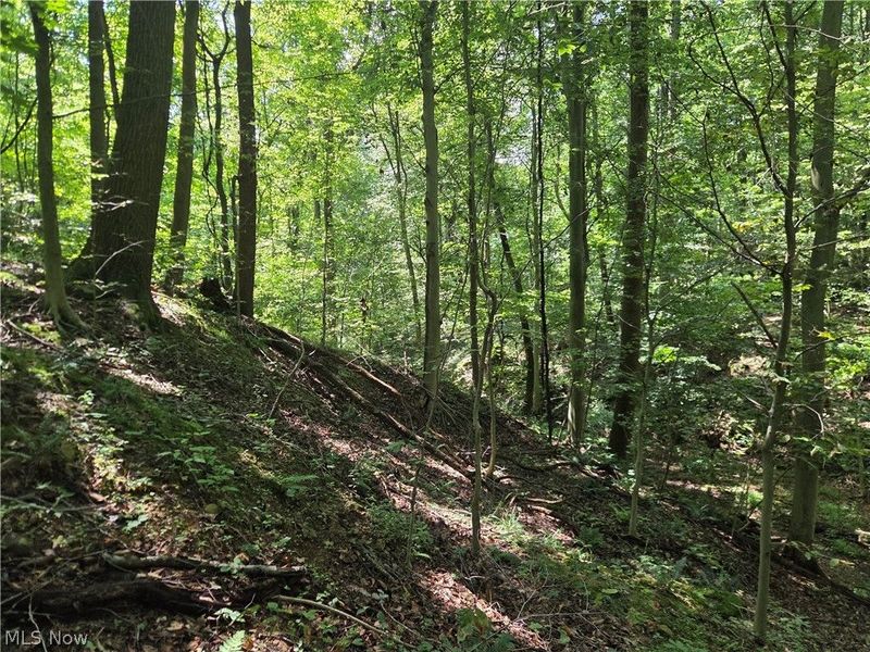 Midvale Mine Rd, Midvale, OH 44653 Photo 10