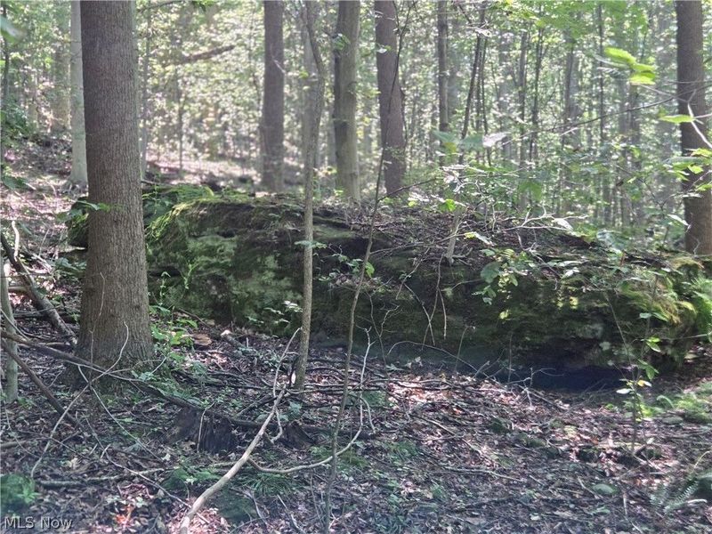 Midvale Mine Rd, Midvale, OH 44653 Photo 12