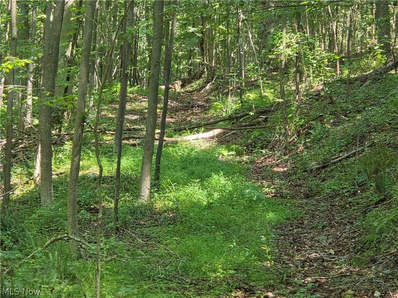 Midvale Mine Rd, Midvale, OH 44653 Photo 13