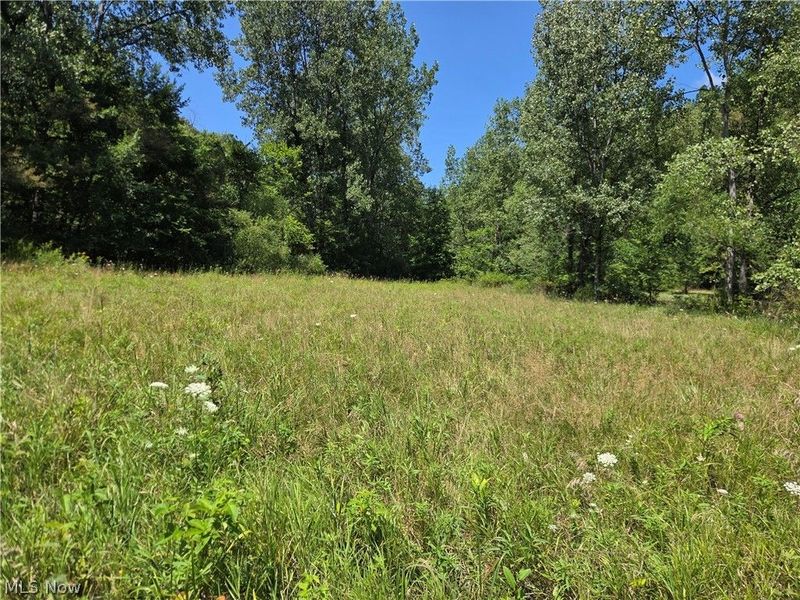 Midvale Mine Rd, Midvale, OH 44653 Photo 14