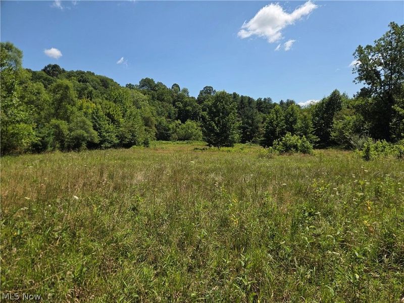 Midvale Mine Rd, Midvale, OH 44653 Photo 15