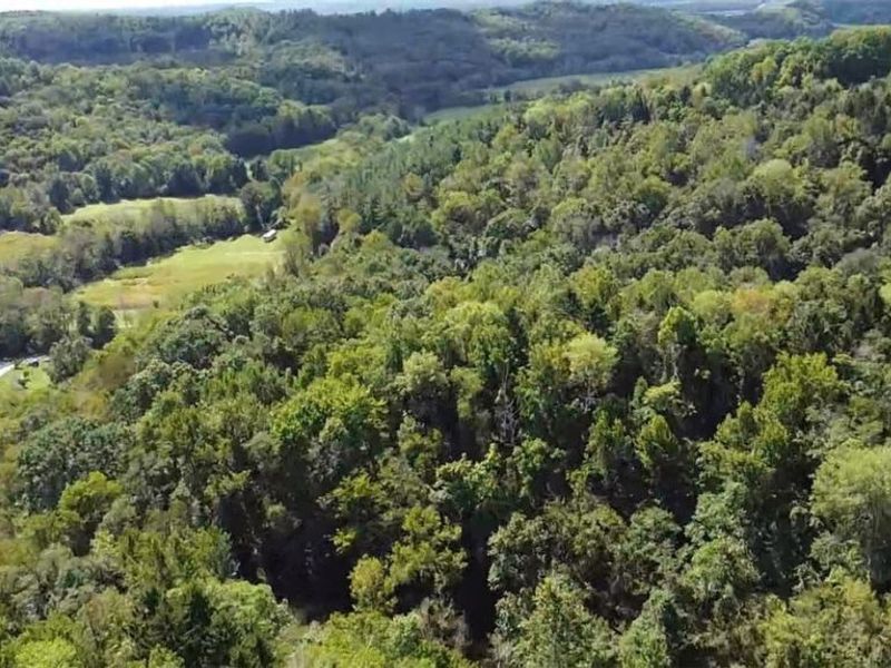 Midvale Mine Rd, Midvale, OH 44653 Photo 3