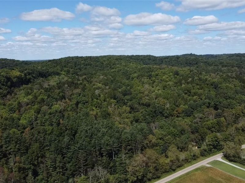 Midvale Mine Rd, Midvale, OH 44653 Photo 4