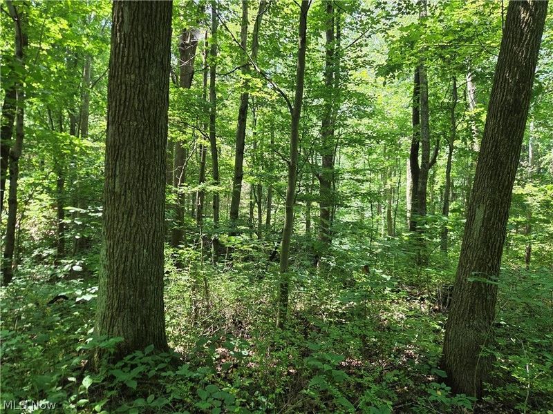 Midvale Mine Rd, Midvale, OH 44653 Photo 6