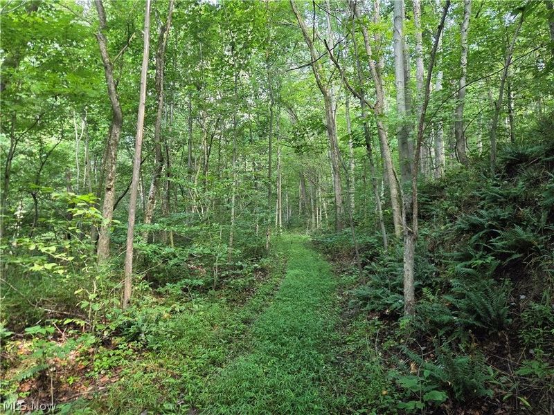 Midvale Mine Rd, Midvale, OH 44653 Photo 8