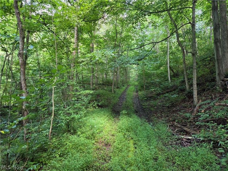 Midvale Mine Rd, Midvale, OH 44653 Photo 9