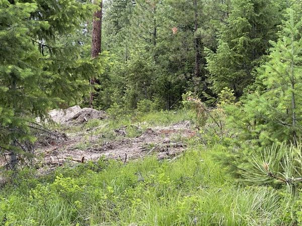 36XX Lot D Sheridan Rd, Republic, WA 99166