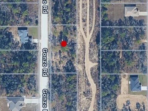 14498 GONZO ROAD , WEEKI WACHEE, FL 34614