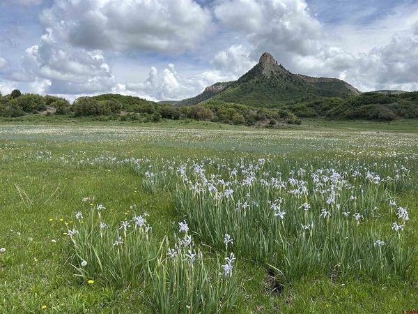 Lot 77 Road 29.8, Cahone, CO 81320