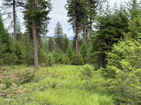36XX Lot E Sheridan Rd, Republic, WA 99166