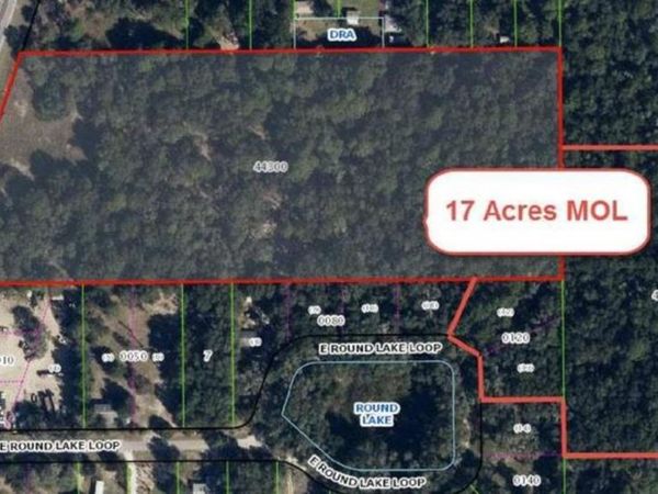 8965 S FLORIDA AVENUE , FLORAL CITY, FL 34436