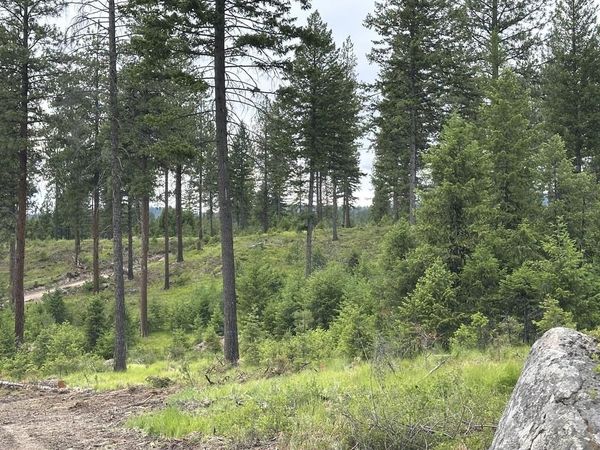 36XX Lot F Sheridan Rd, Republic, WA 99166