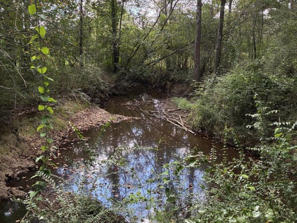 Hwy 15, Ackerman, MS 39735