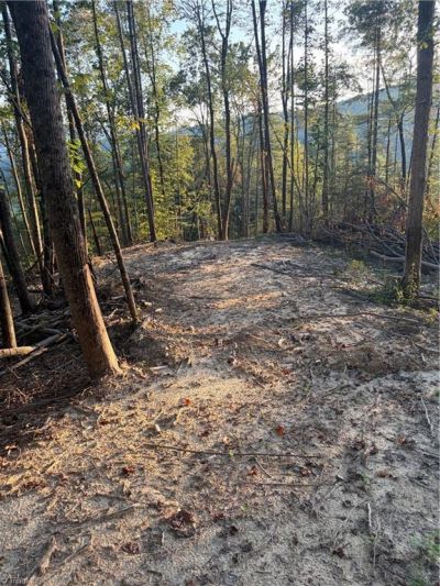 Tbd Lot 2 Old Nc Highway 16, Millers Creek, NC 28651 Main Photo