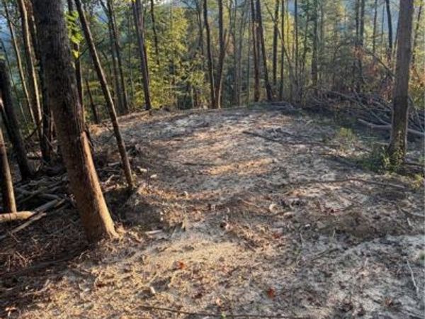 TBD Lot 2 Old Nc highway 16, Millers Creek, NC 28651