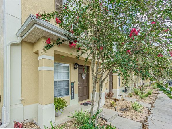 8514 BRUSHLEAF WAY , TAMPA, FL 33647
