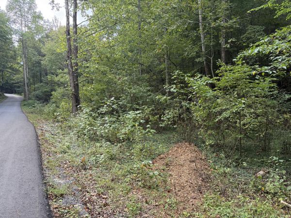 Lot 13-14 Speedwell Chuch Rd, Bulls Gap, TN 37711