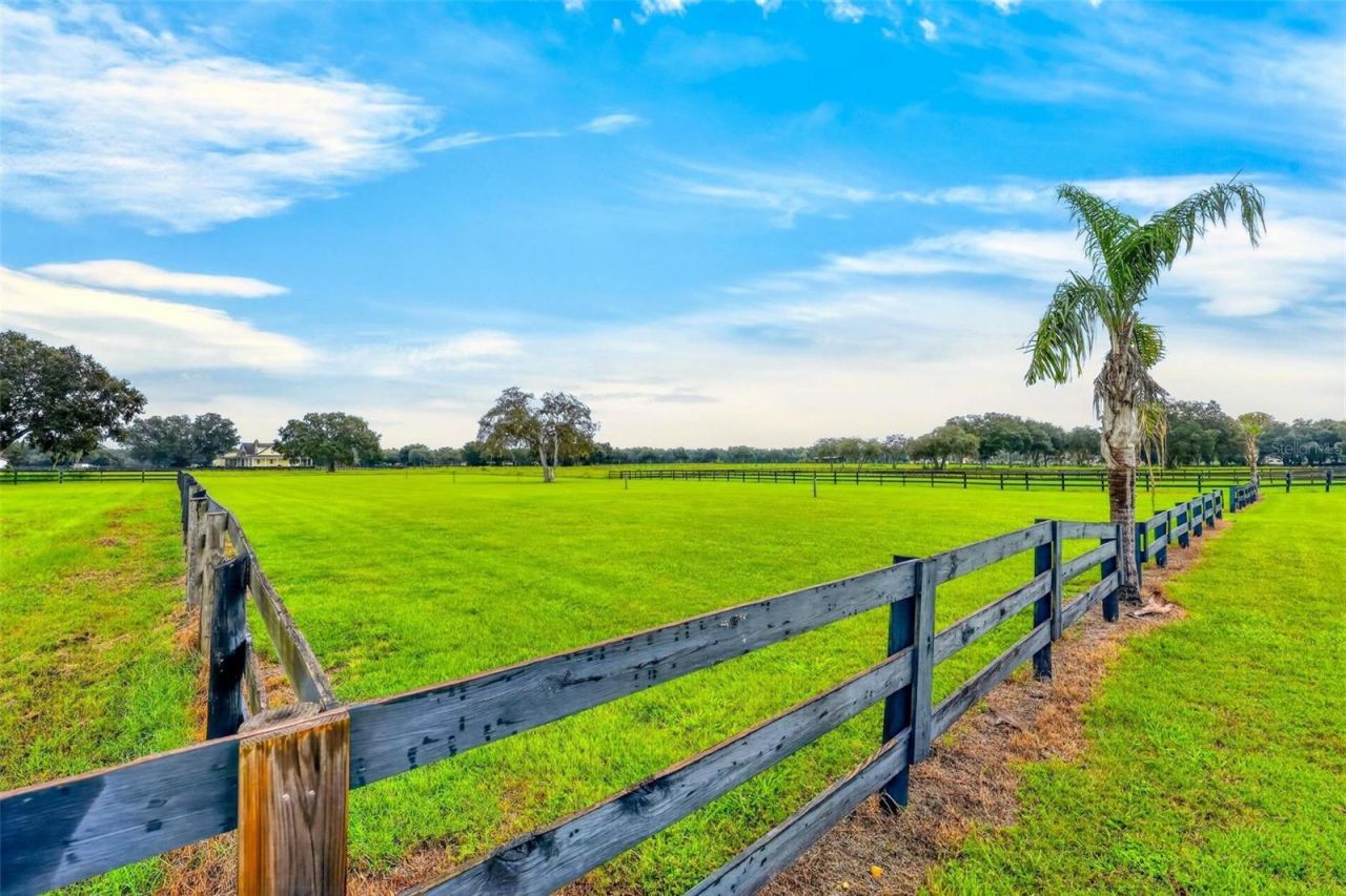 4991 SE 212th Court, Morriston, FL 32668 Photo
