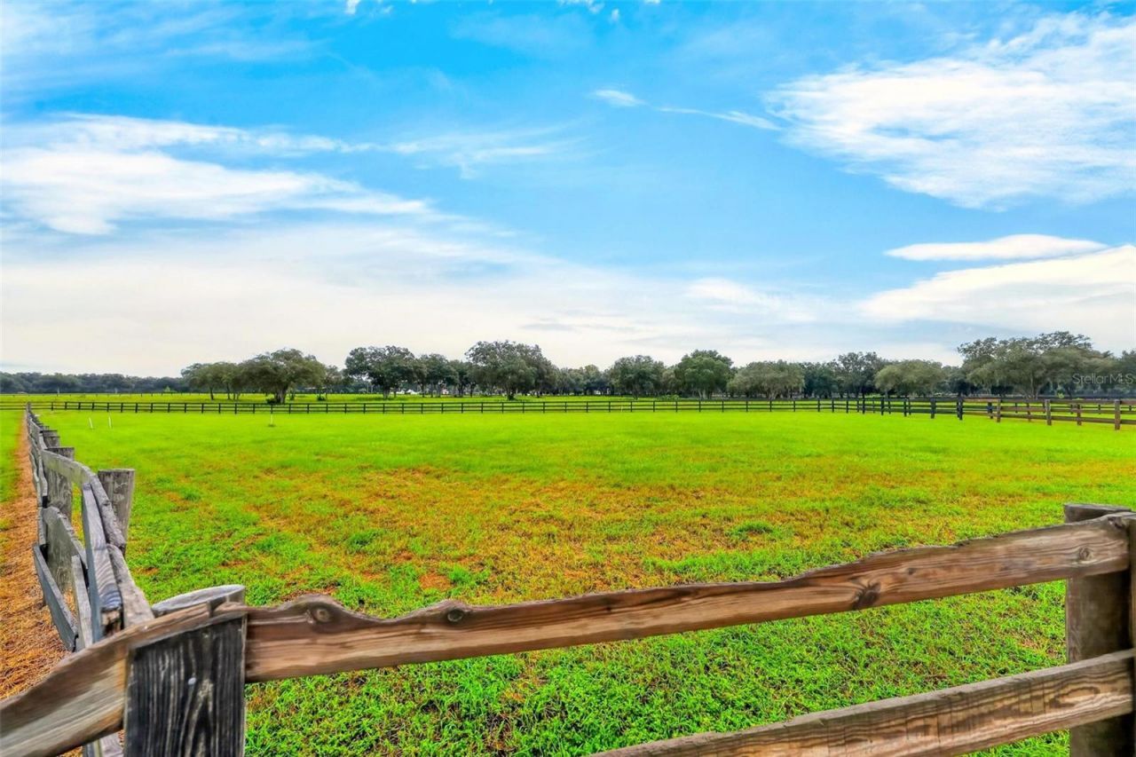4991 SE 212th Court, Morriston, FL 32668 Photo