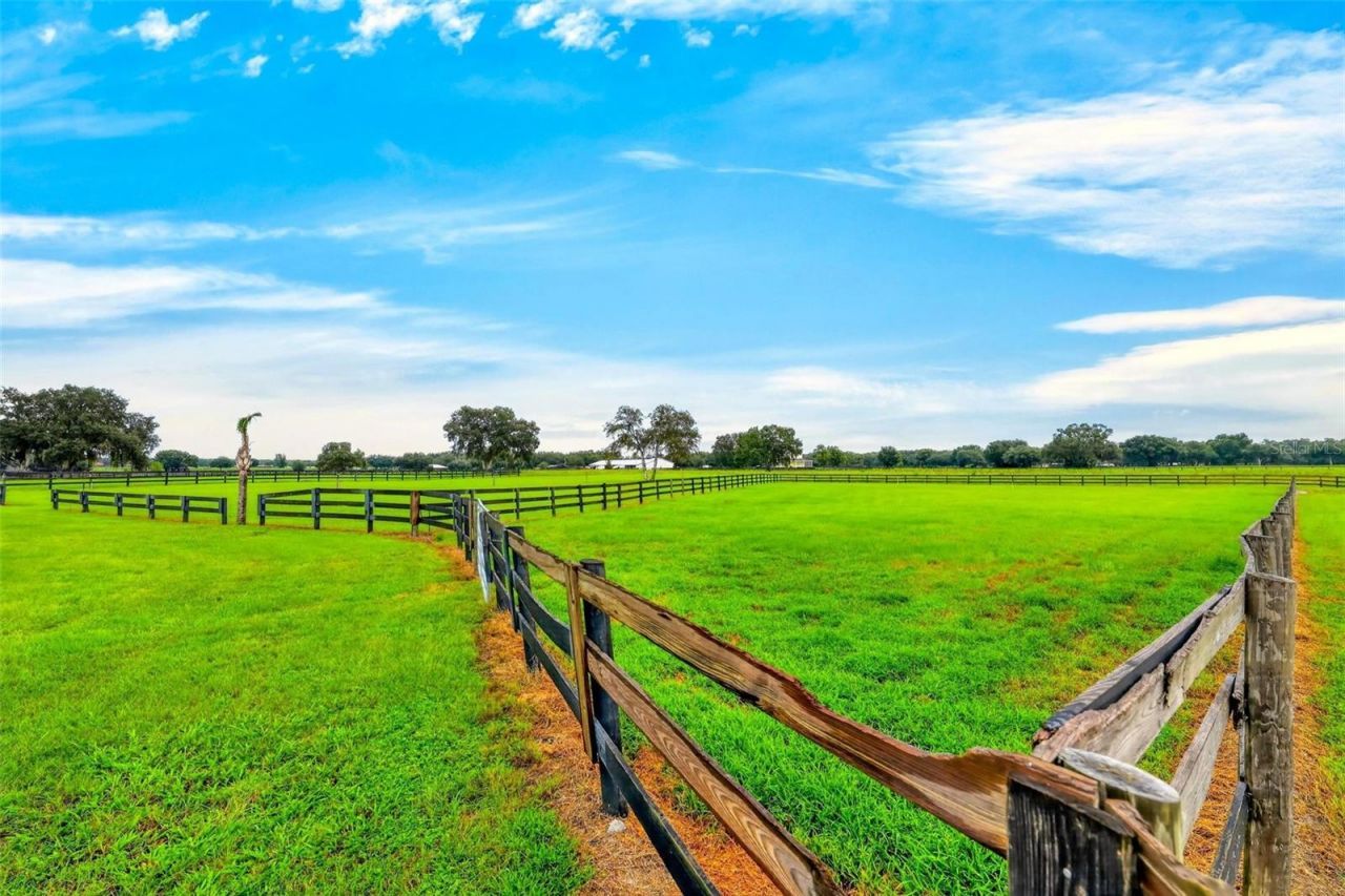 4991 SE 212th Court, Morriston, FL 32668 Photo