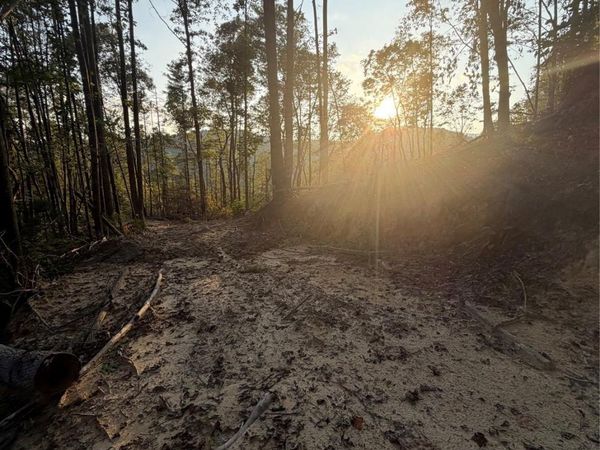 TBD Lot 2 Old Nc highway 16 None, Millers Creek, NC 28651