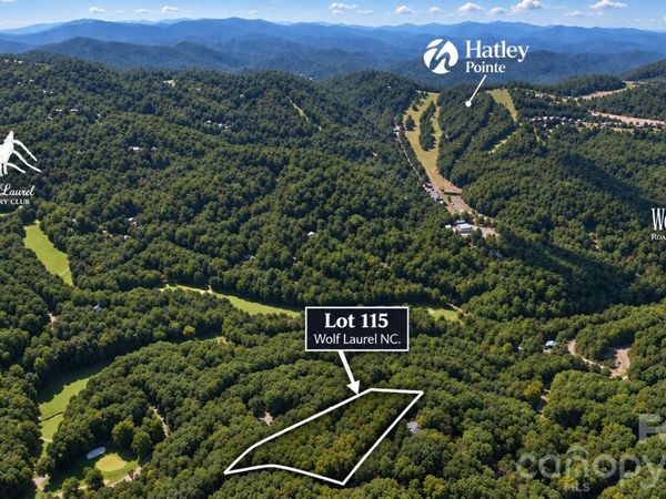 LOT 115 Sugar Tree Lane , Mars Hill, NC 28754