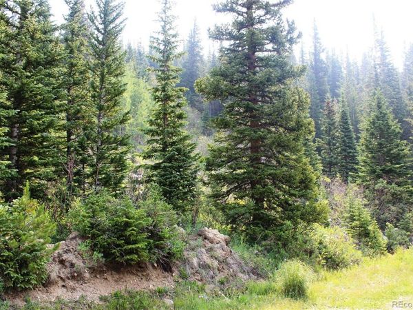 01 Miners Road , Idaho Springs, CO 80461