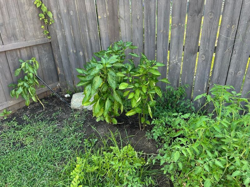 2726 Bernadette Road, Columbus, OH 43204 Photo 34