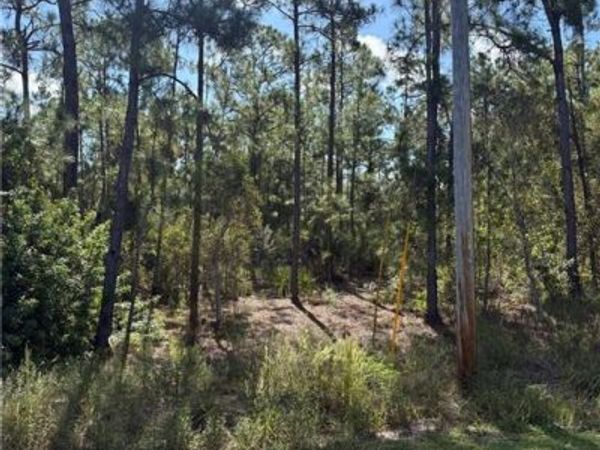 825 Grenada AVE , LEHIGH ACRES, FL 33974