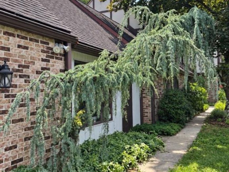 9 Knollwood Drive, Sinking Spring, PA 19608 Main Photo