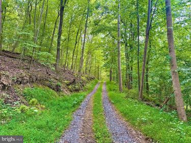 39-A-14 JOHN MOSBY HIGHWAY, BOYCE, VA 22620