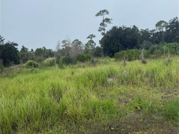 1005 Michael AVE, LEHIGH ACRES, FL 33936
