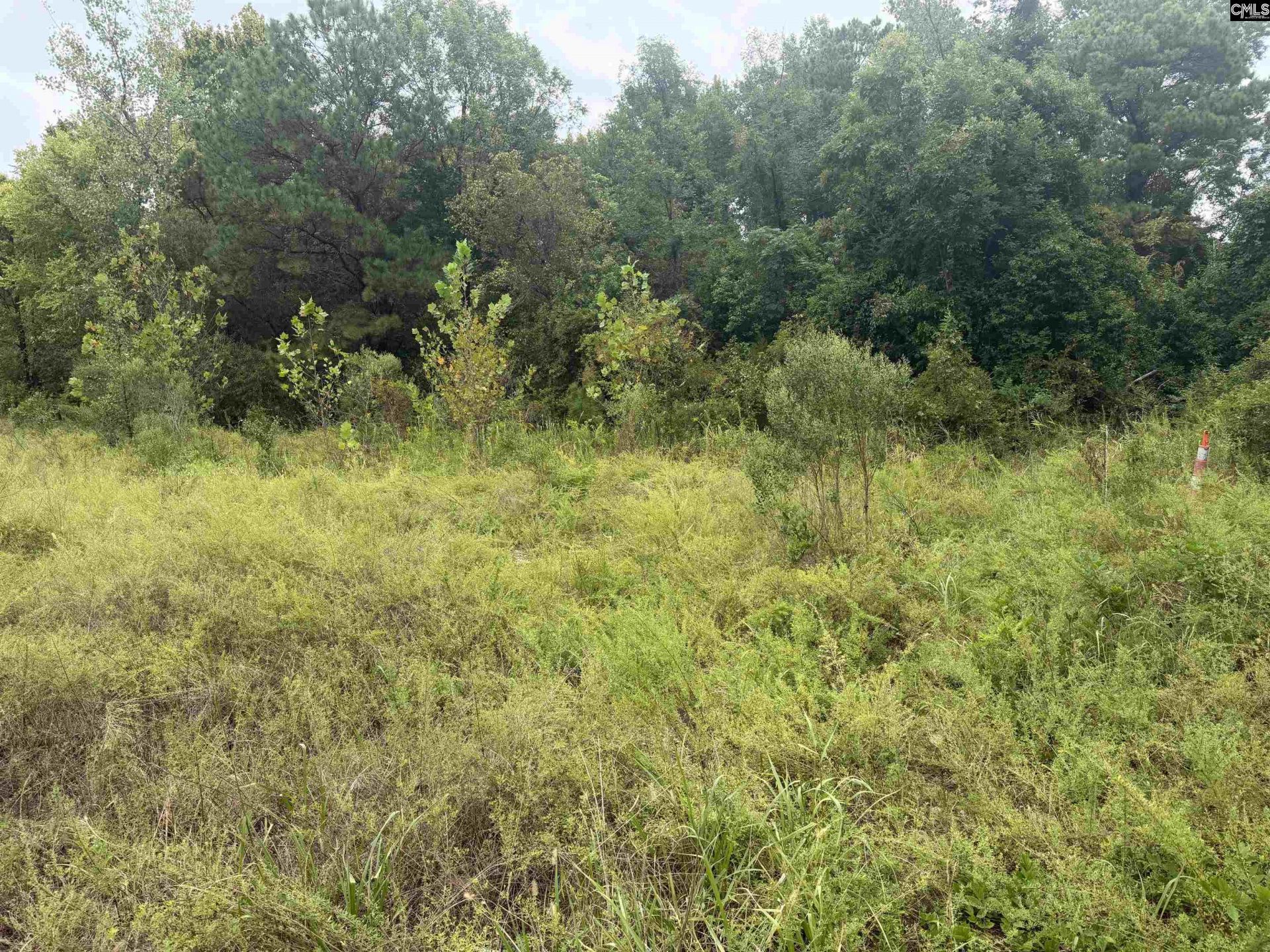 4120 River Drive  Photo 11