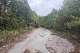 4120 River Drive  photo 4