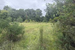 4120 River Drive  photo 4