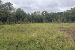 4120 River Drive  photo 4