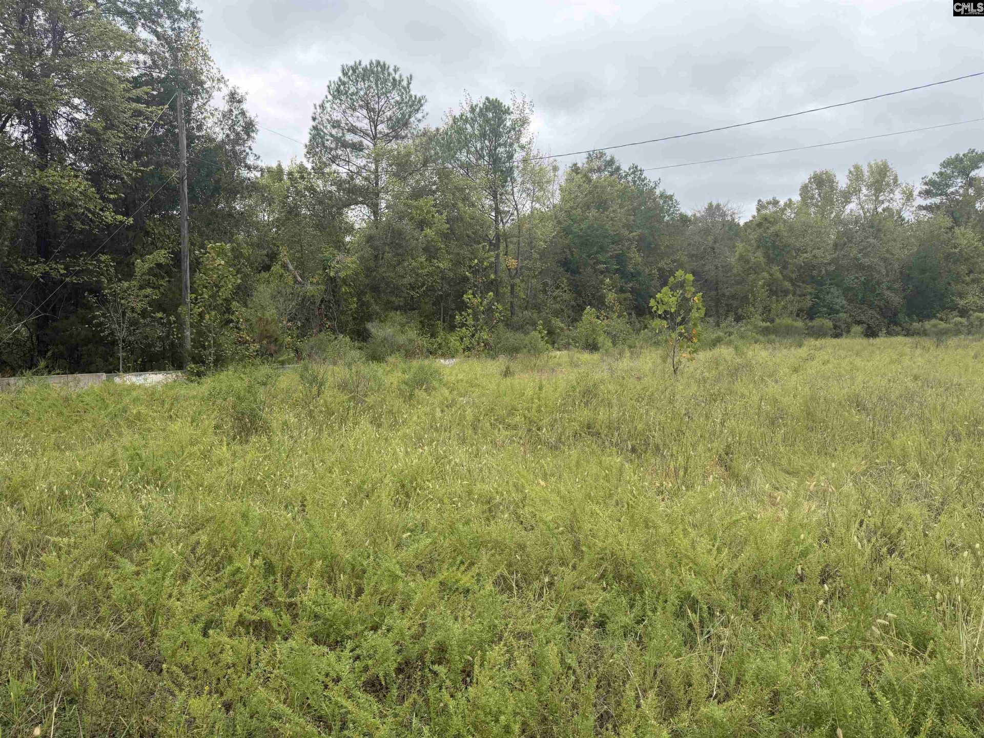 4120 River Drive  Photo 5