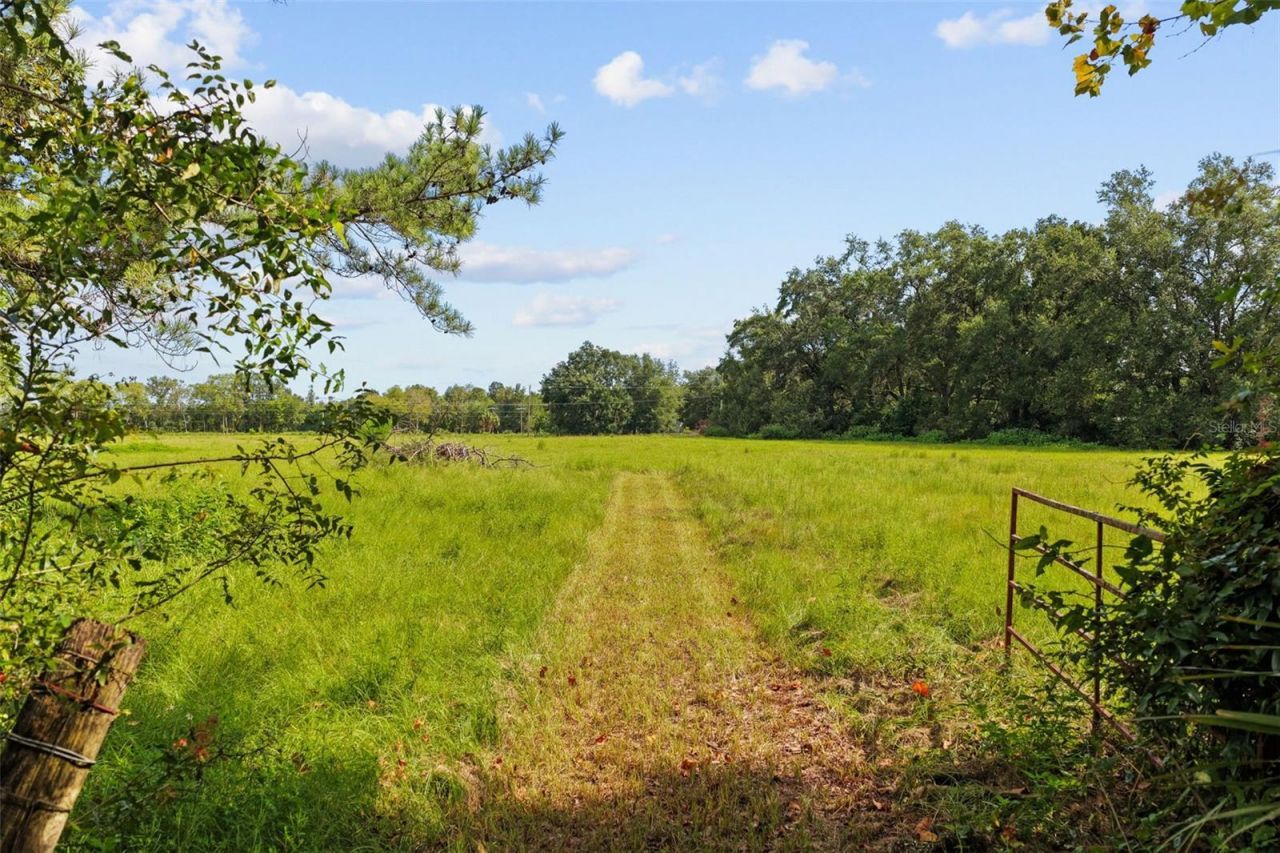 1869 SW 32nd Place, Bell, FL 32619 Photo