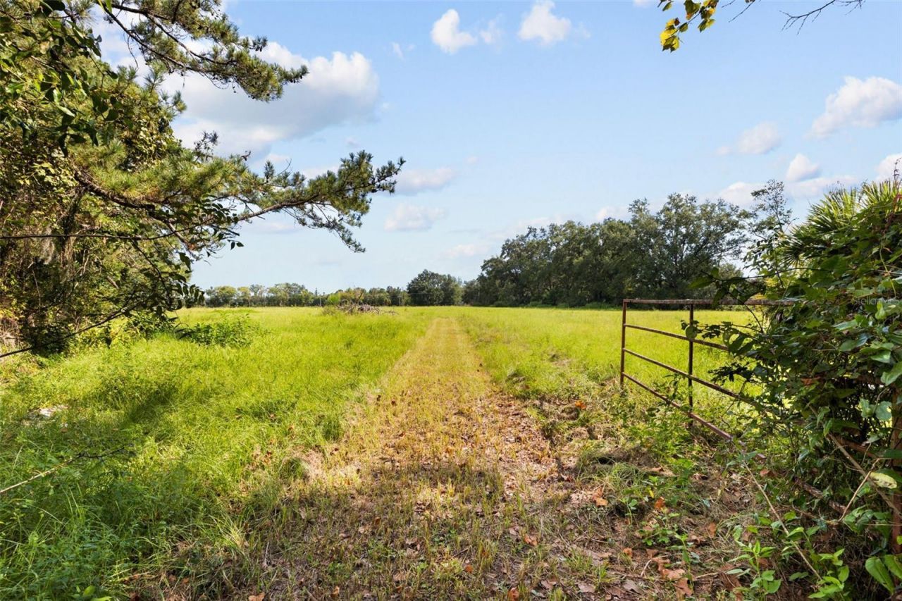 1869 SW 32nd Place, Bell, FL 32619 Photo