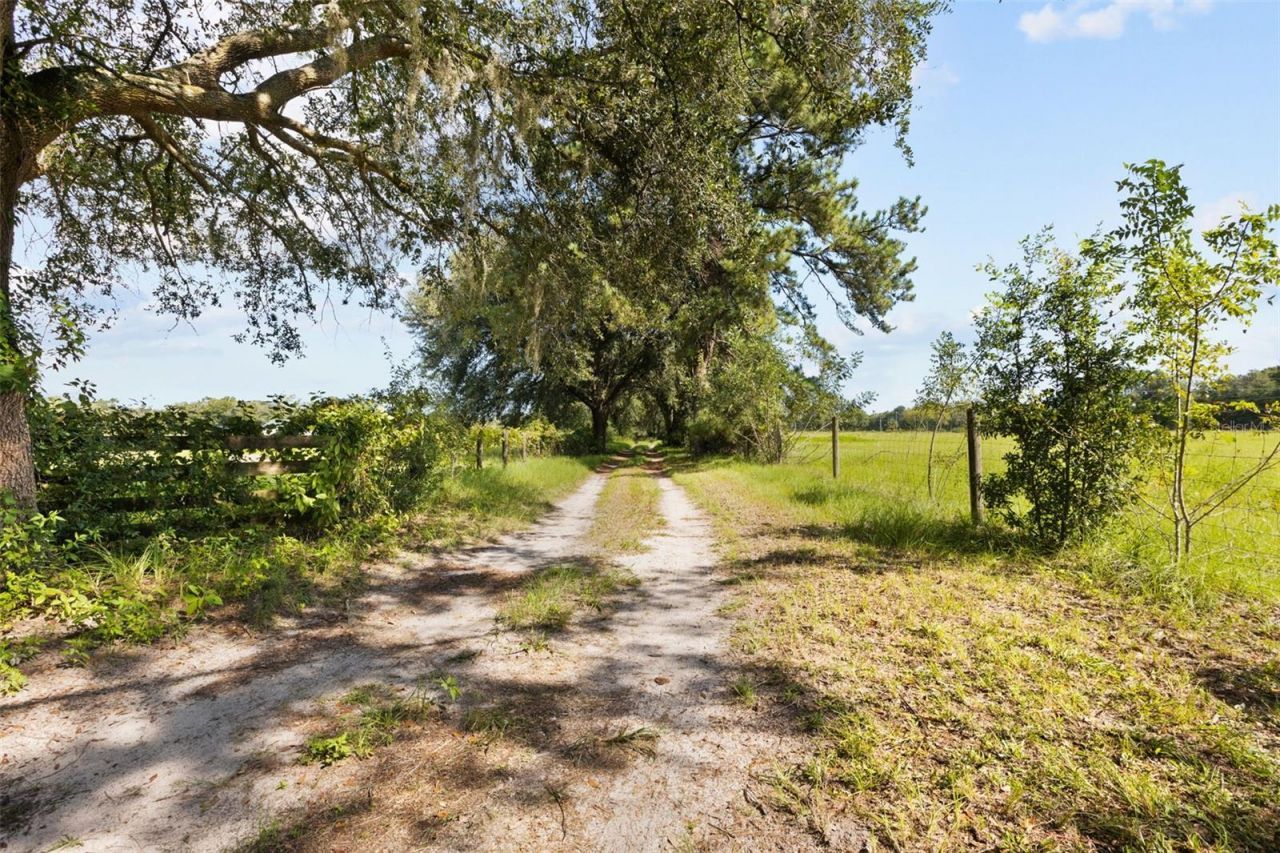 1869 SW 32nd Place, Bell, FL 32619 Photo